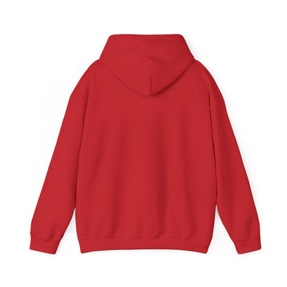 Autistic, Authentic & Proud Hoodie | neurodiversity autistic pride, affirming