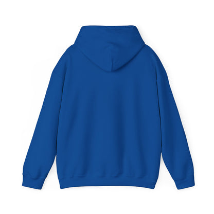 Autistic, Authentic & Proud Hoodie | neurodiversity autistic pride, affirming